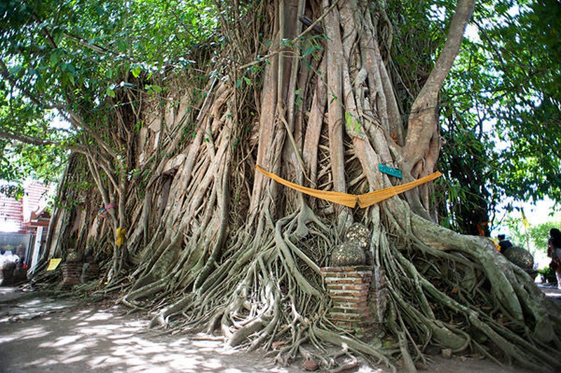 สถานที่ท่องเที่ยวแนะนำ